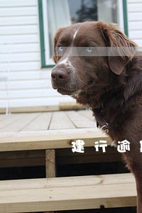 建行逾期1天上征信吗 建行逾期1天上征信吗