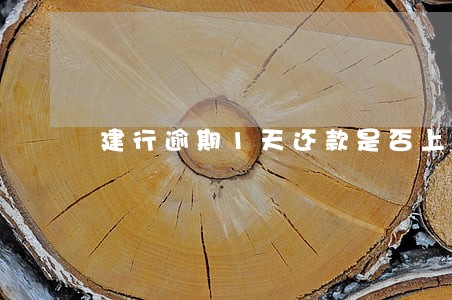 建行逾期1天还款是否上征信