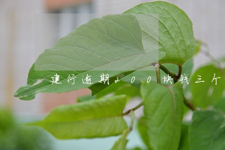 建行逾期200块钱三个月 建行逾期200块钱三个月
