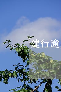 建行逾期20元 建行逾期20元