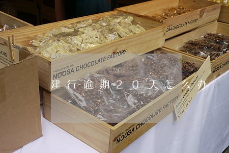 建行逾期20天怎么办