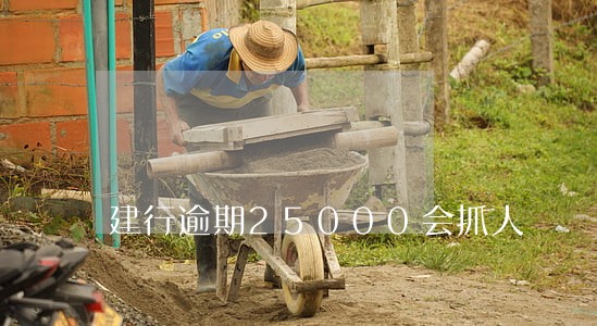 建行逾期25000会抓人 建行逾期25000会抓人