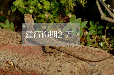 建行逾期2万 建行逾期2万