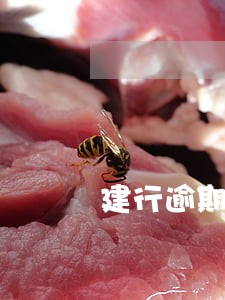 建行逾期2个月的后果 建行逾期2个月的后果