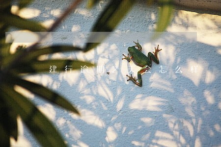 建行逾期2天会怎么样 建行逾期2天会怎么样