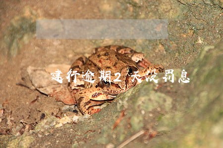 建行逾期2天没罚息 建行逾期2天没罚息