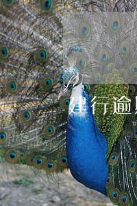 建行逾期2年了依旧不能协商 建行逾期2年了依旧不能协商