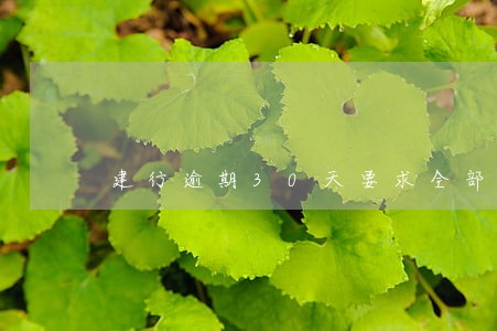 建行逾期30天要求全部还款 建行逾期30天要求全部还款