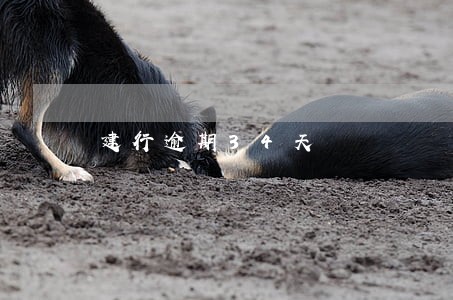 建行逾期34天 建行逾期34天