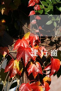 建行逾期35天 建行逾期35天