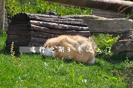 建行逾期3年没上门 建行逾期3年没上门