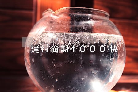 建行逾期4000快