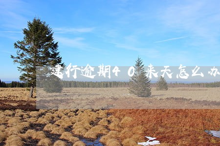 建行逾期40来天怎么办
