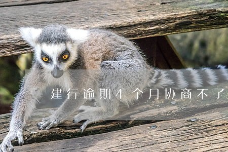 建行逾期4个月协商不了 建行逾期4个月协商不了