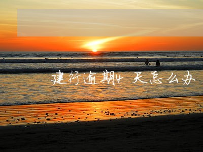 建行逾期4天怎么办