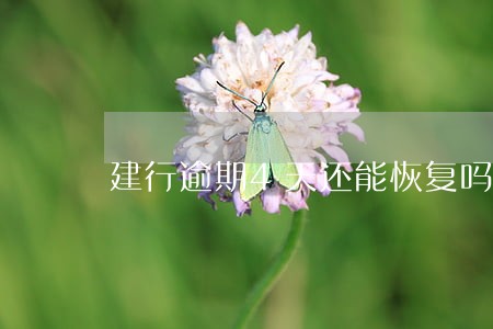 建行逾期4天还能恢复吗 建行逾期4天还能恢复吗