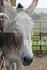 建行逾期5000会被冻结吗 建行逾期5000会被冻结吗