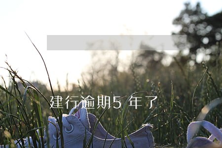 建行逾期5年了 建行逾期5年了