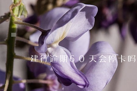 建行逾期60天会停卡吗 建行逾期60天会停卡吗