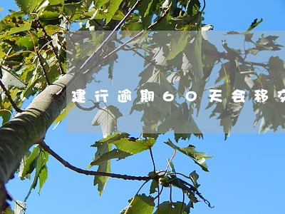 建行逾期60天会移交给分行吗 建行逾期60天会移交给分行吗
