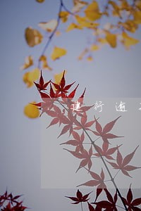 建行逾期70万 建行逾期70万