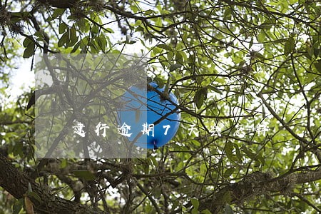 建行逾期7天会怎样 建行逾期7天会怎样