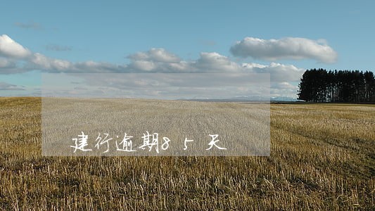 建行逾期85天 建行逾期85天