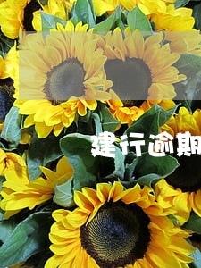 建行逾期8万 建行逾期8万