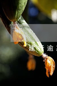 建行逾期8万会坐牢吗 建行逾期8万会坐牢吗