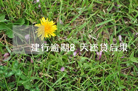 建行逾期8天还贷后果