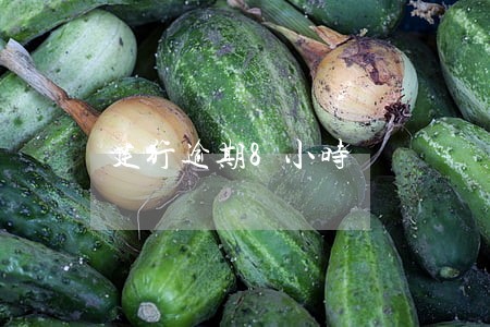 建行逾期8小时 建行逾期8小时