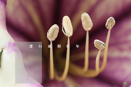 建行逾期8年