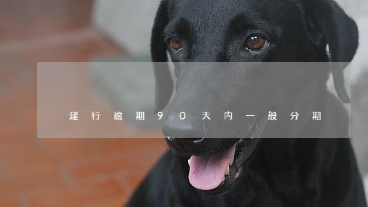 建行逾期90天内一般分期 建行逾期90天内一般分期