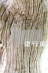 建行逾期90天还能用吗 建行逾期90天还能用吗