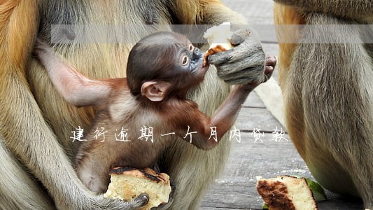 建行逾期一个月内贷款 建行逾期一个月内贷款