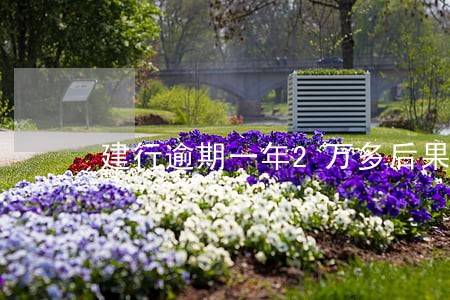 建行逾期一年2万多后果