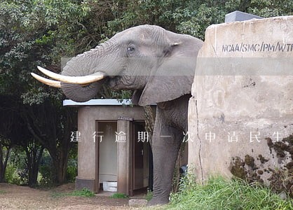 建行逾期一次申请民生信用卡 建行逾期一次申请民生信用卡