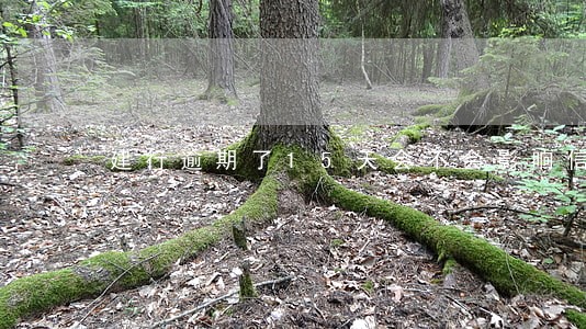 建行逾期了15天会不会影响信用 建行逾期了15天会不会影响信用