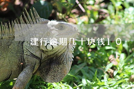 建行逾期几十块钱10 建行逾期几十块钱10