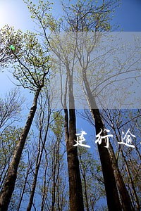 建行逾期利息300多 建行逾期利息300多