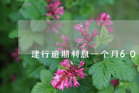 建行逾期利息一个月600 建行逾期利息一个月600