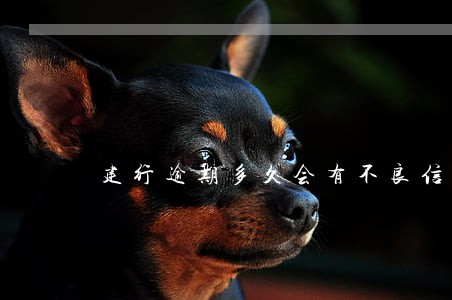 建行逾期多久会有不良信用记录