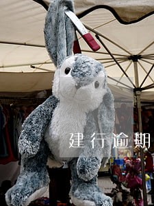 建行逾期多久恢复可以贷款