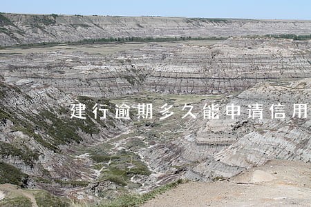 建行逾期多久能申请信用卡