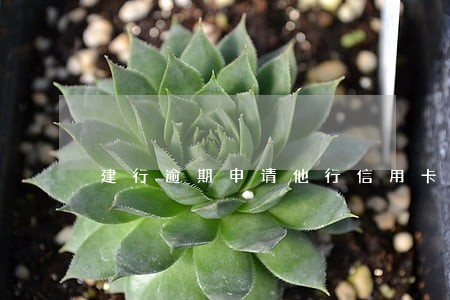 建行逾期申请他行信用卡 建行逾期申请他行信用卡