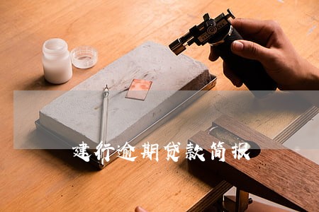 建行逾期贷款简报 建行逾期贷款简报