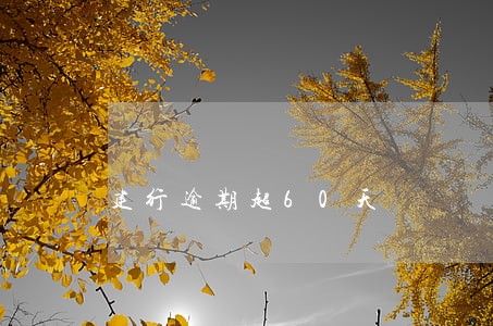建行逾期超60天 建行逾期超60天