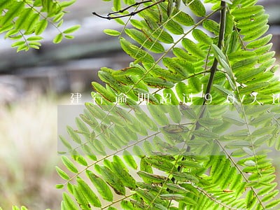 建行逾期超过90天还清后 建行逾期超过90天还清后