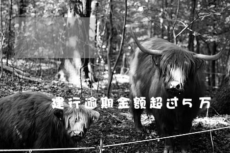 建行逾期金额超过5万 建行逾期金额超过5万