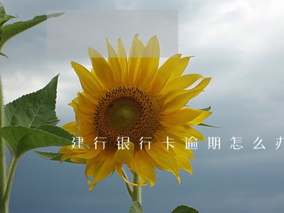 建行银行卡逾期怎么办 建行银行卡逾期怎么办